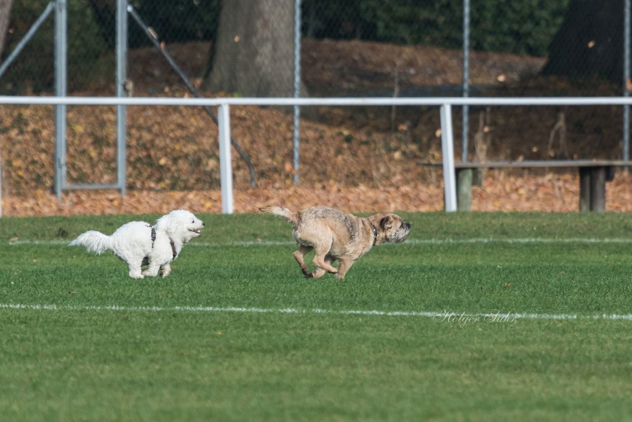 Bild 190 - wBJ MSG Steinhorst-Krummesse - VfL Pinneberg : Ergebnis: 2:0